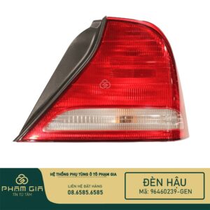 DEN HAU 96460239-GEN