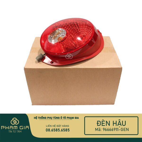 DEN HAU 96666911-GEN