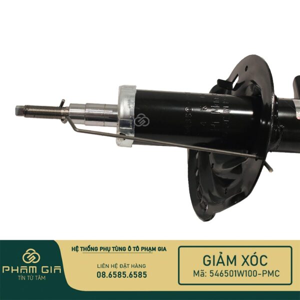 GIAM XOC 546501W100-PMC