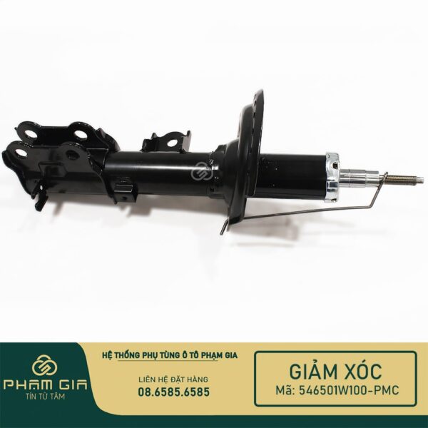 GIAM XOC 546501W100-PMC