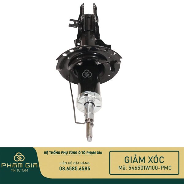 GIAM XOC 546501W100-PMC