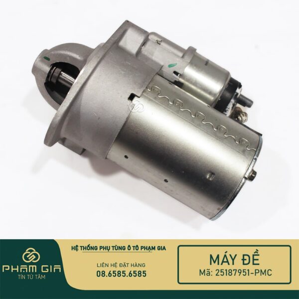 MAY DE 25187951-PMC