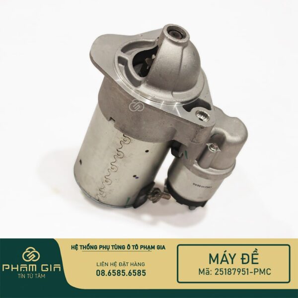 MAY DE 25187951-PMC