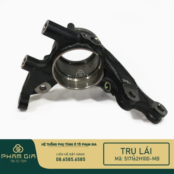 TRU LAI 517162H100-MB
