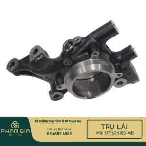 TRU LAI 517162H100-MB