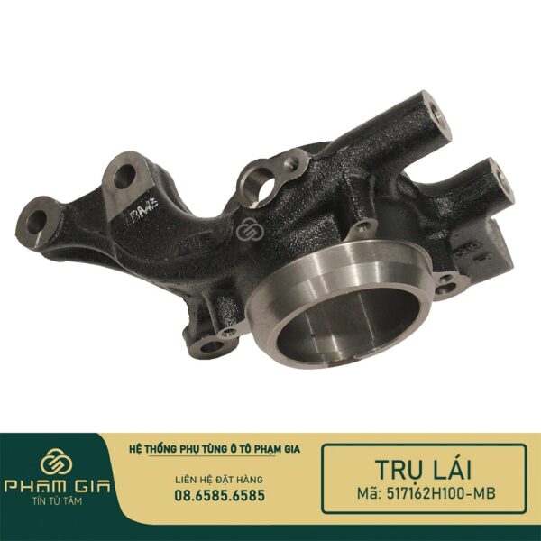 TRU LAI 517162H100-MB
