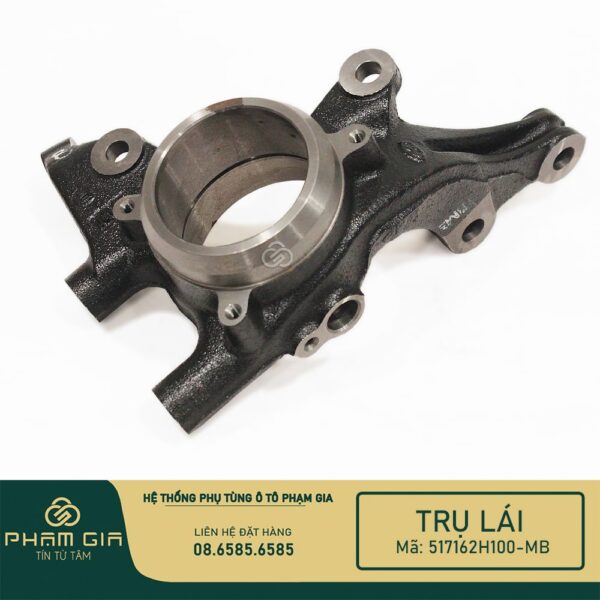 TRU LAI 517162H100-MB