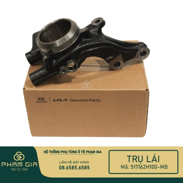 TRU LAI 517162H100-MB