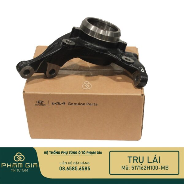 TRU LAI 517162H100-MB