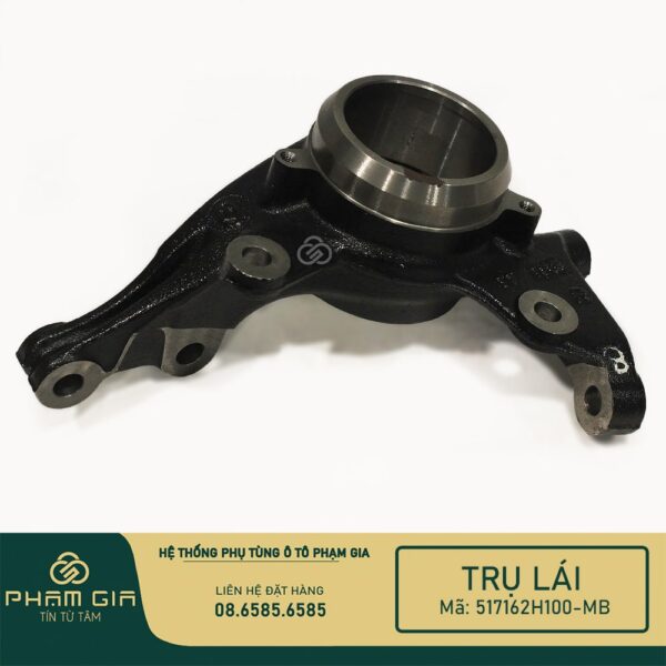 TRU LAI 517162H100-MB