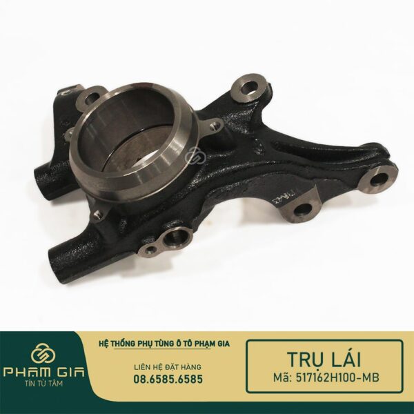TRU LAI 517162H100-MB