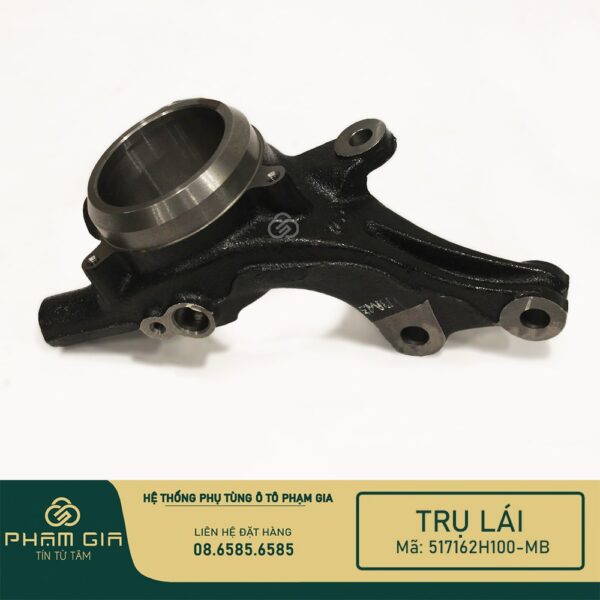 TRU LAI 517162H100-MB