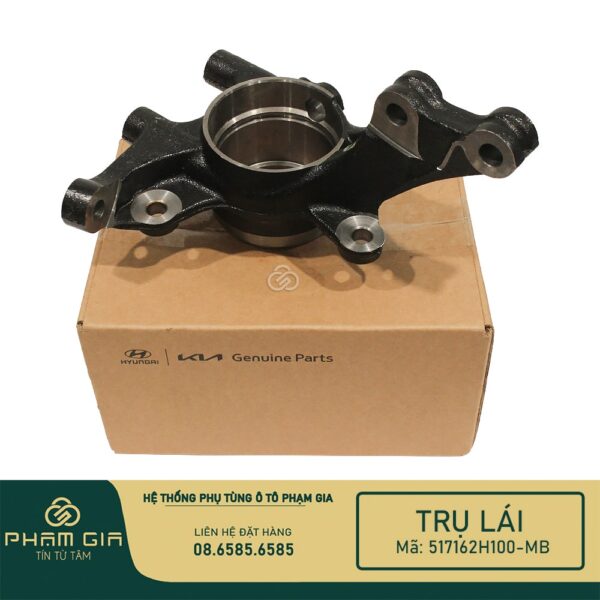 TRU LAI 517162H100-MB
