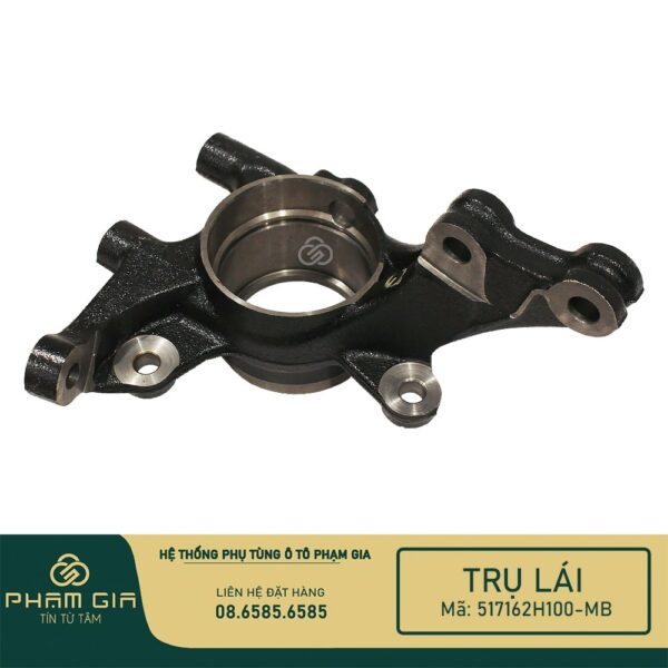 TRU LAI 517162H100-MB