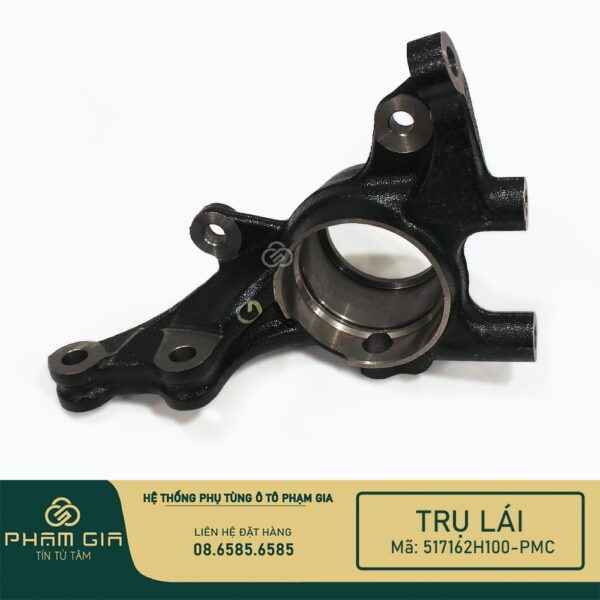 TRU LAI 517162H100-PMC