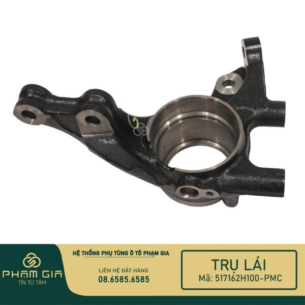 TRU LAI 517162H100-PMC