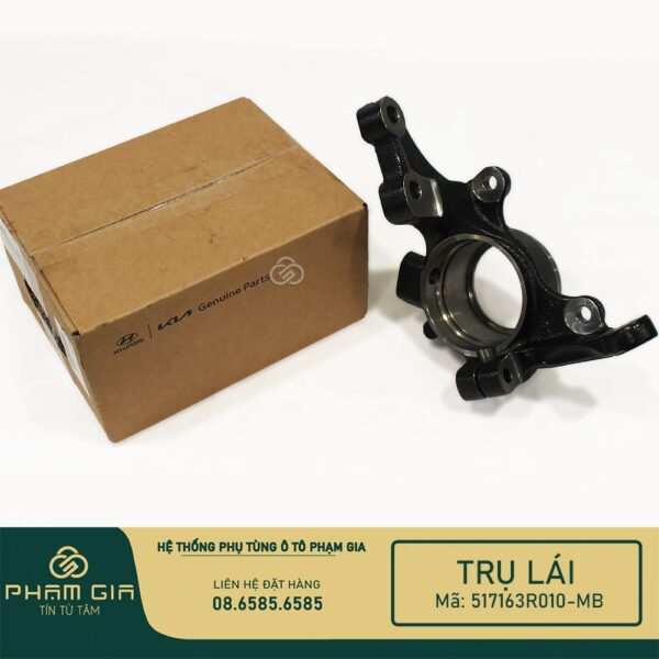 TRU LAI 517163R010-MB