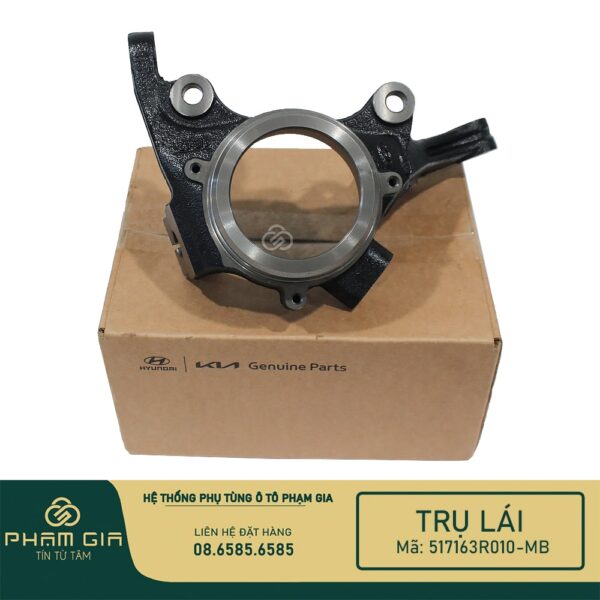 TRU LAI 517163R010-MB