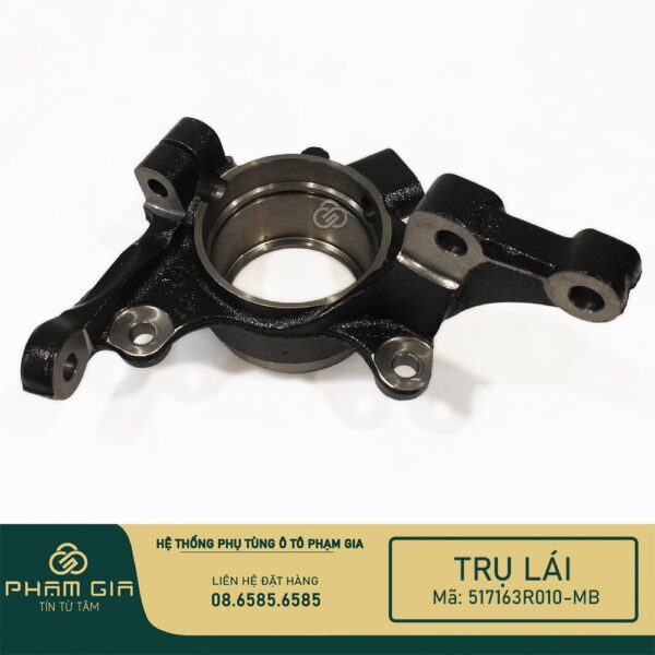 TRU LAI 517163R010-MB