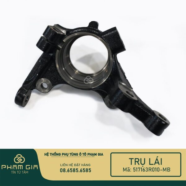 TRU LAI 517163R010-MB