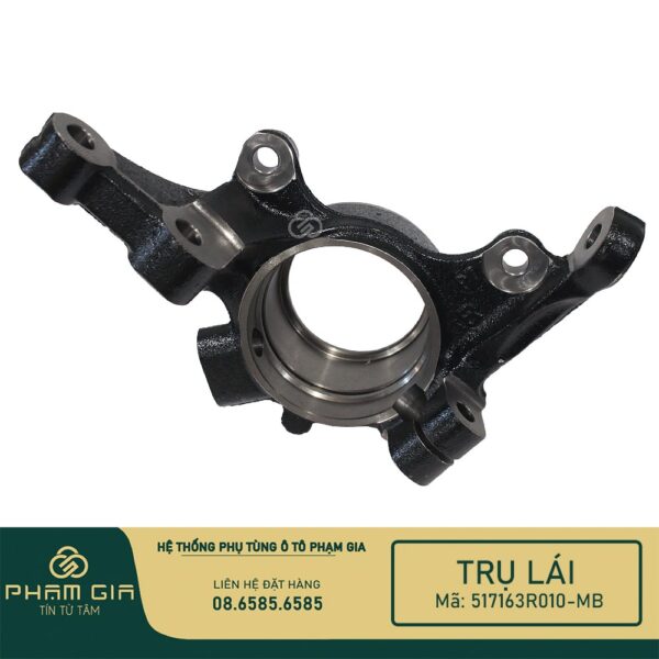 TRU LAI 517163R010-MB