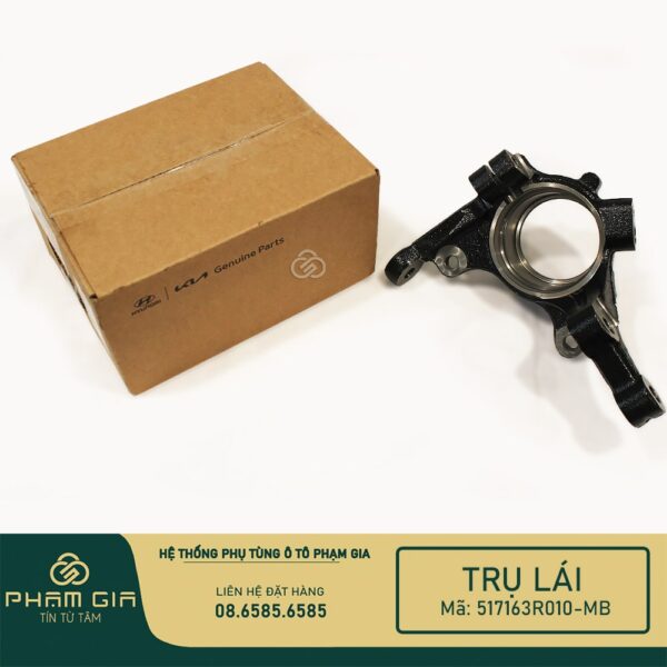 TRU LAI 517163R010-MB
