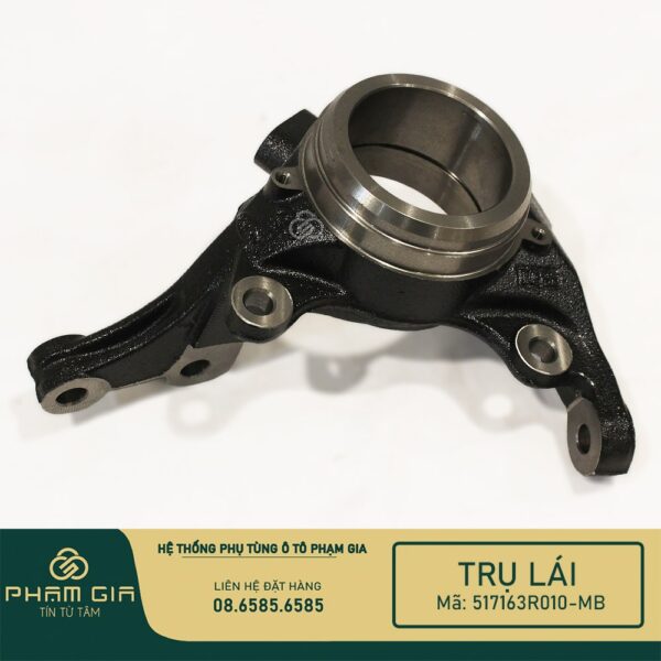 TRU LAI 517163R010-MB