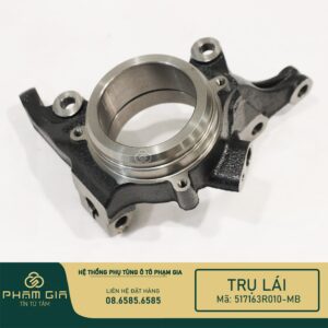 TRU LAI 517163R010-MB