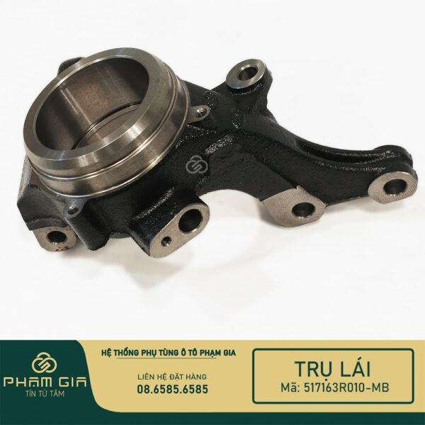 TRU LAI 517163R010-MB