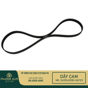 DAY CAM 2431542200-GATES