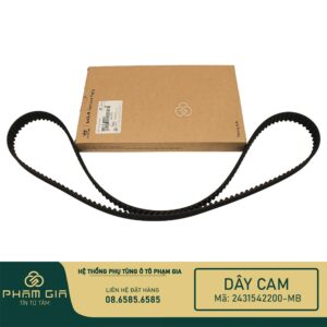 DAY CAM 2431542200-MB