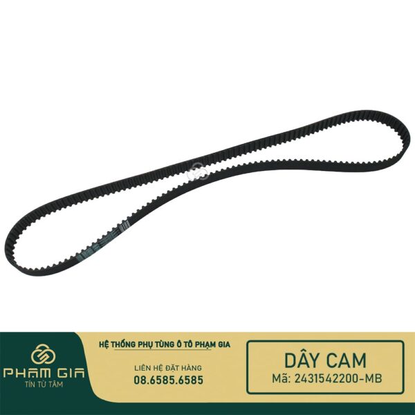 DAY CAM 2431542200-MB