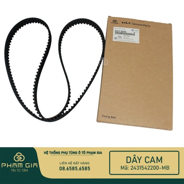 DAY CAM 2431542200-MB