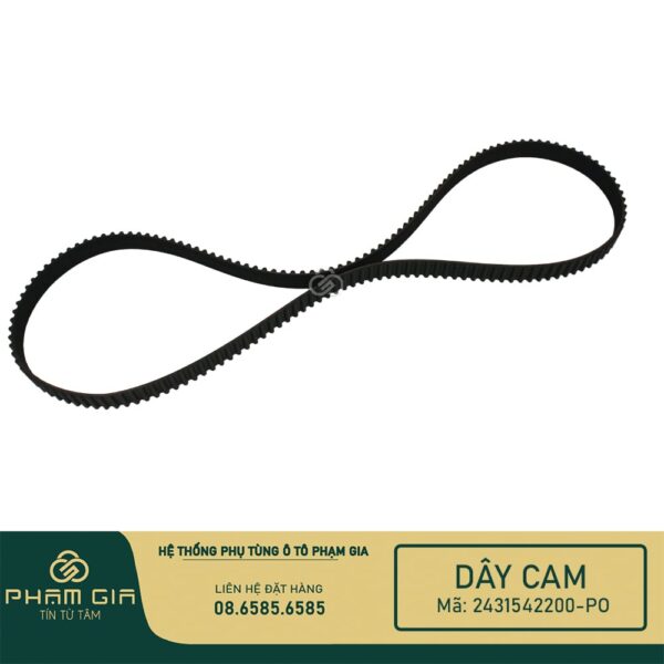 DAY CAM 2431542200-PO (2)