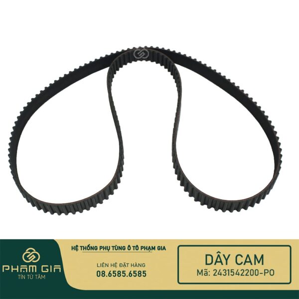 DAY CAM 2431542200-PO (2)