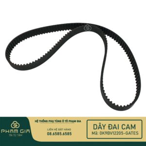 DAY DAI CAM 0K9BV12205-GATES