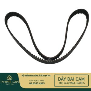 DAY DAI CAM 24422964-GATES