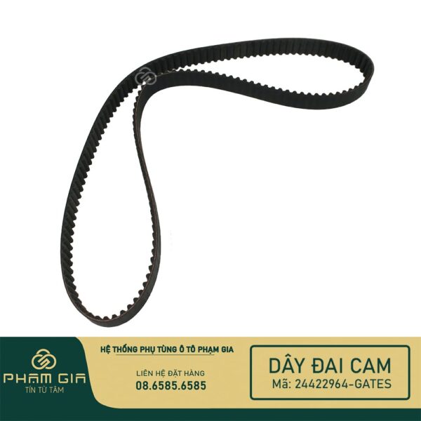 DAY DAI CAM 24422964-GATES