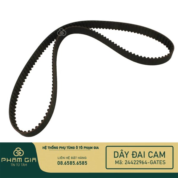 DAY DAI CAM 24422964-GATES