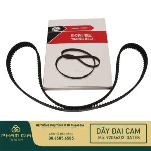 DAY DAI CAM 92066312-GATES (2)