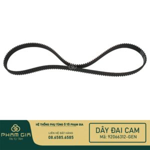 DAY DAI CAM 92066312-GEN (2)