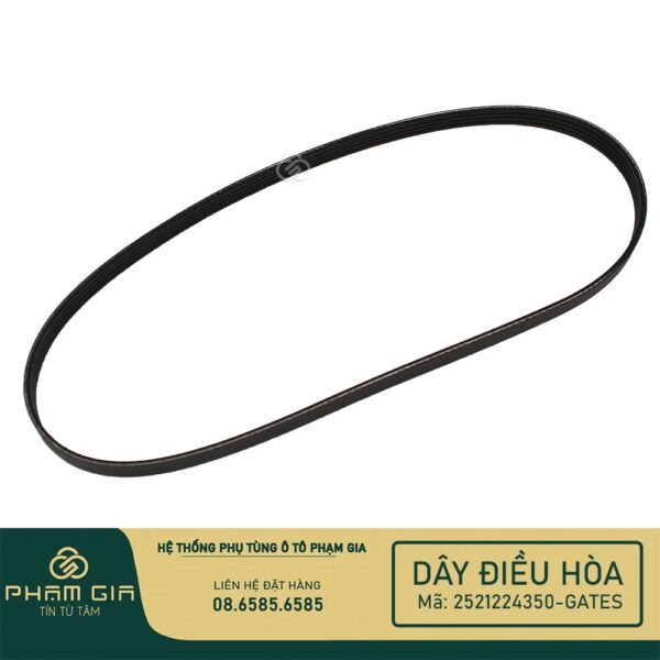 DAY DIEU HOA 2521224350-GATES