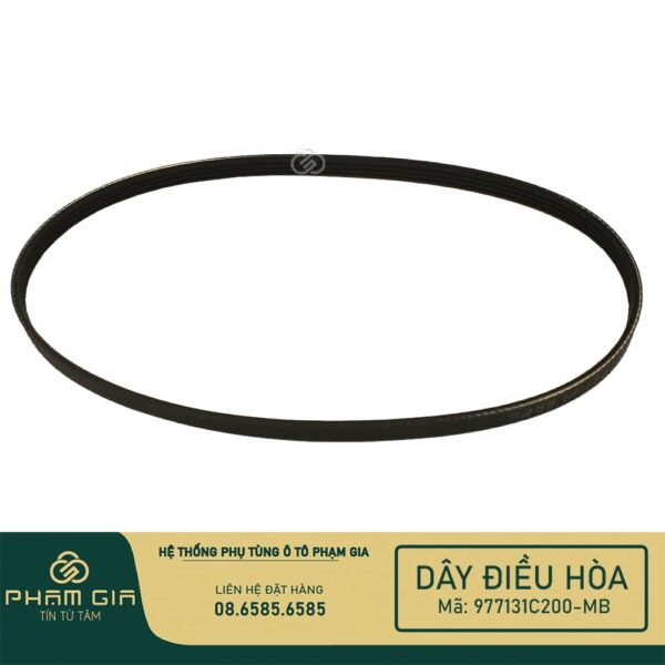 DAY DIEU HOA 977131C200-MB