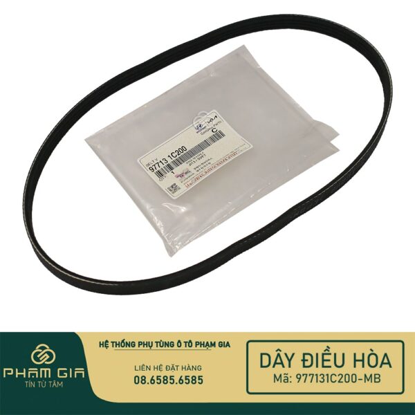 DAY DIEU HOA 977131C200-MB