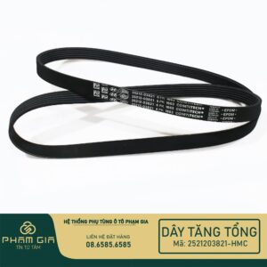 DAY TANG TONG 2521203821-HMCIndia