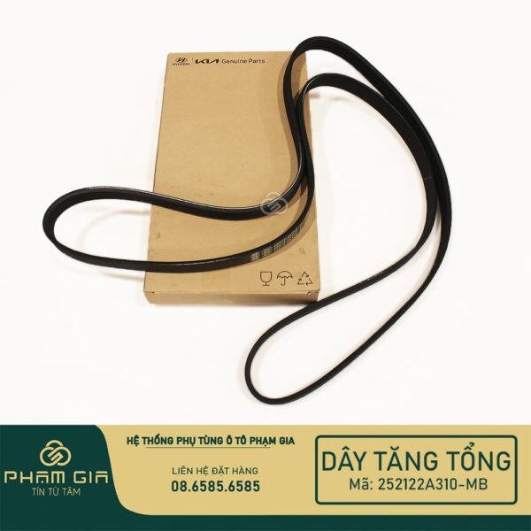 DAY TANG TONG 252122A310-MB