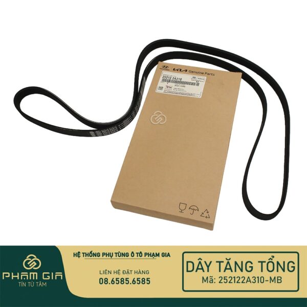 DAY TANG TONG 252122A310-MB