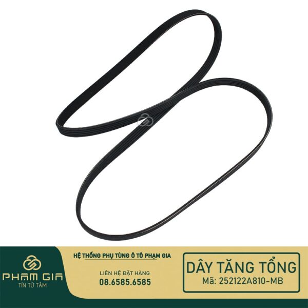 DAY TANG TONG 252122A810-MB