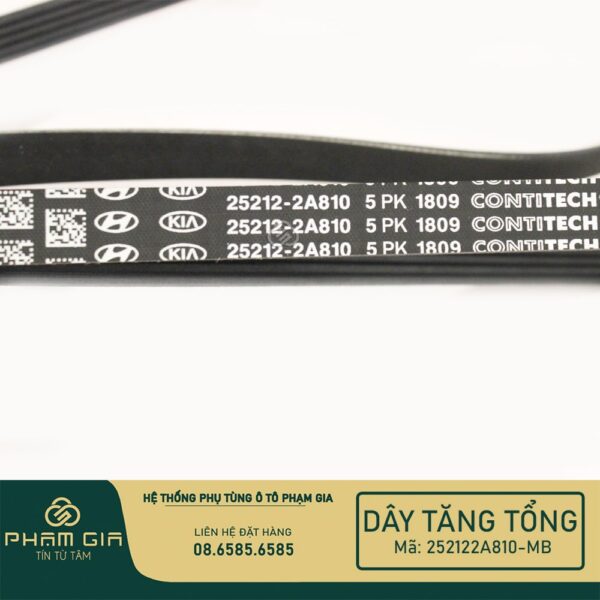 DAY TANG TONG 252122A810-MB