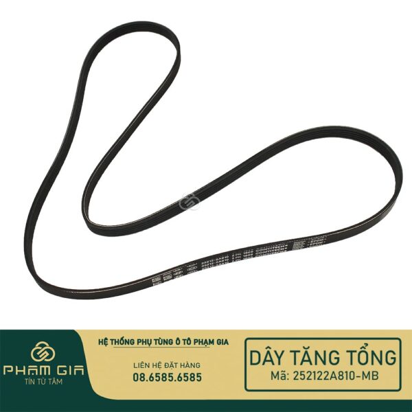 DAY TANG TONG 252122A810-MB